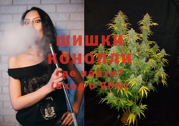 прущие крисы Арсеньев
