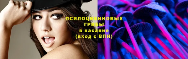 прущая мука Корсаков