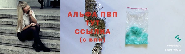 стафф Коряжма