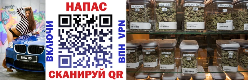 Бошки Шишки OG Kush  Сунжа 